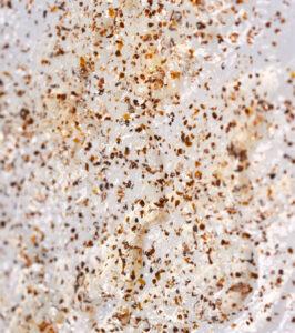 Close-up of a speckled granite-like surface with brown, tan, and translucent mineral flecks on a pale background.